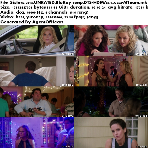 Sisters 2015 UNRATED BluRay 1080p DTS-HDMA5 1 x264-MTeam Sisters 2015 UNRATED BluRay 1080p DTS-HDMA5 1 x264-MTeam