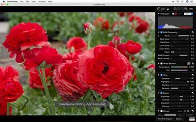 RAW Power 1.0.2 MacOSX
