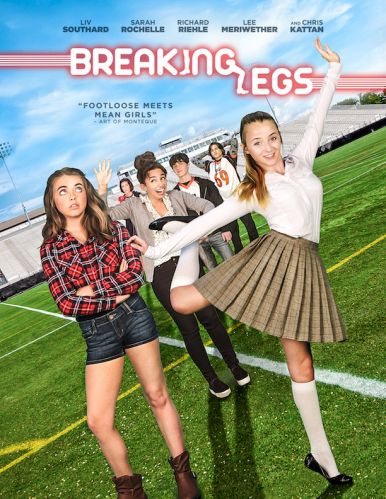 Breaking Legs 2017 HDRip X viD AC3-EVO
