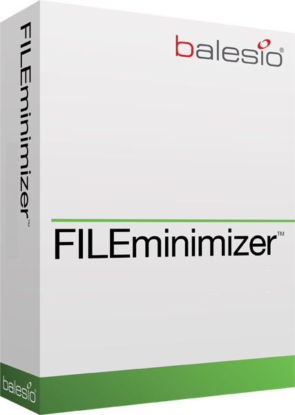 FILEminimizer Server 8.0.0 Multilingual  (MFT)