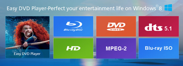 ZJMedia Easy DVD Player 4.6.4.2065 Multilingual