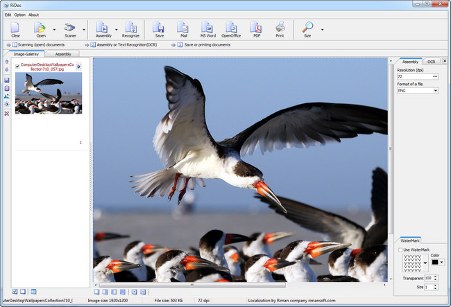 RiDoc 4.3.8.1 (MFT) RiDoc 4.3.8.1 (MFT)