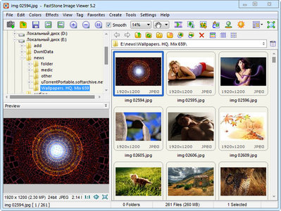 FastStone Image Viewer 5.4 Corporate Multilingual + Portable (MFT)